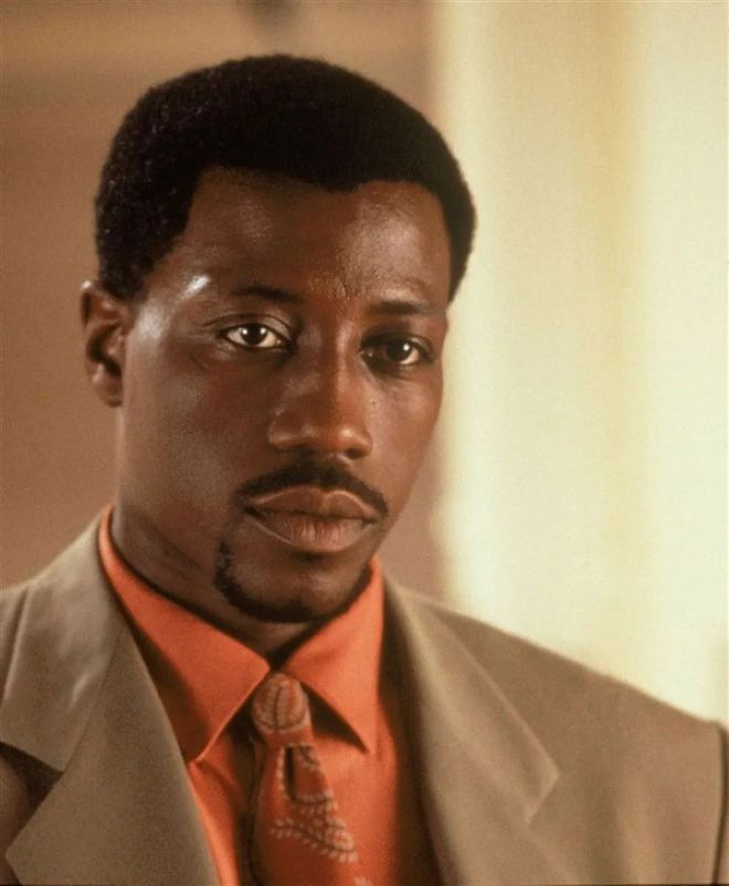 洪金宝武术指导的电影_洪金宝的武术与电影生涯回顾_洪金宝武术