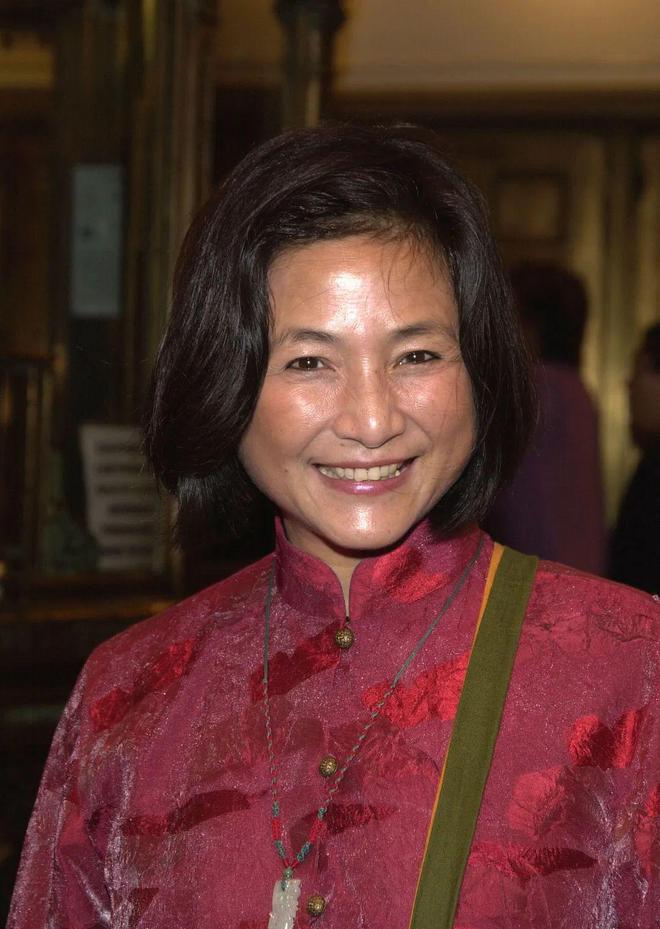 洪金宝武术_洪金宝武术指导的电影_洪金宝的武术与电影生涯回顾