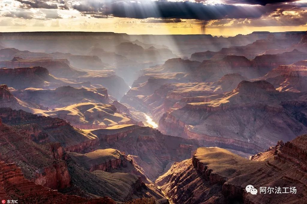 ViVo的消费者行为分析与市场研究_消费者行为研究报告_消费者行为研究现状