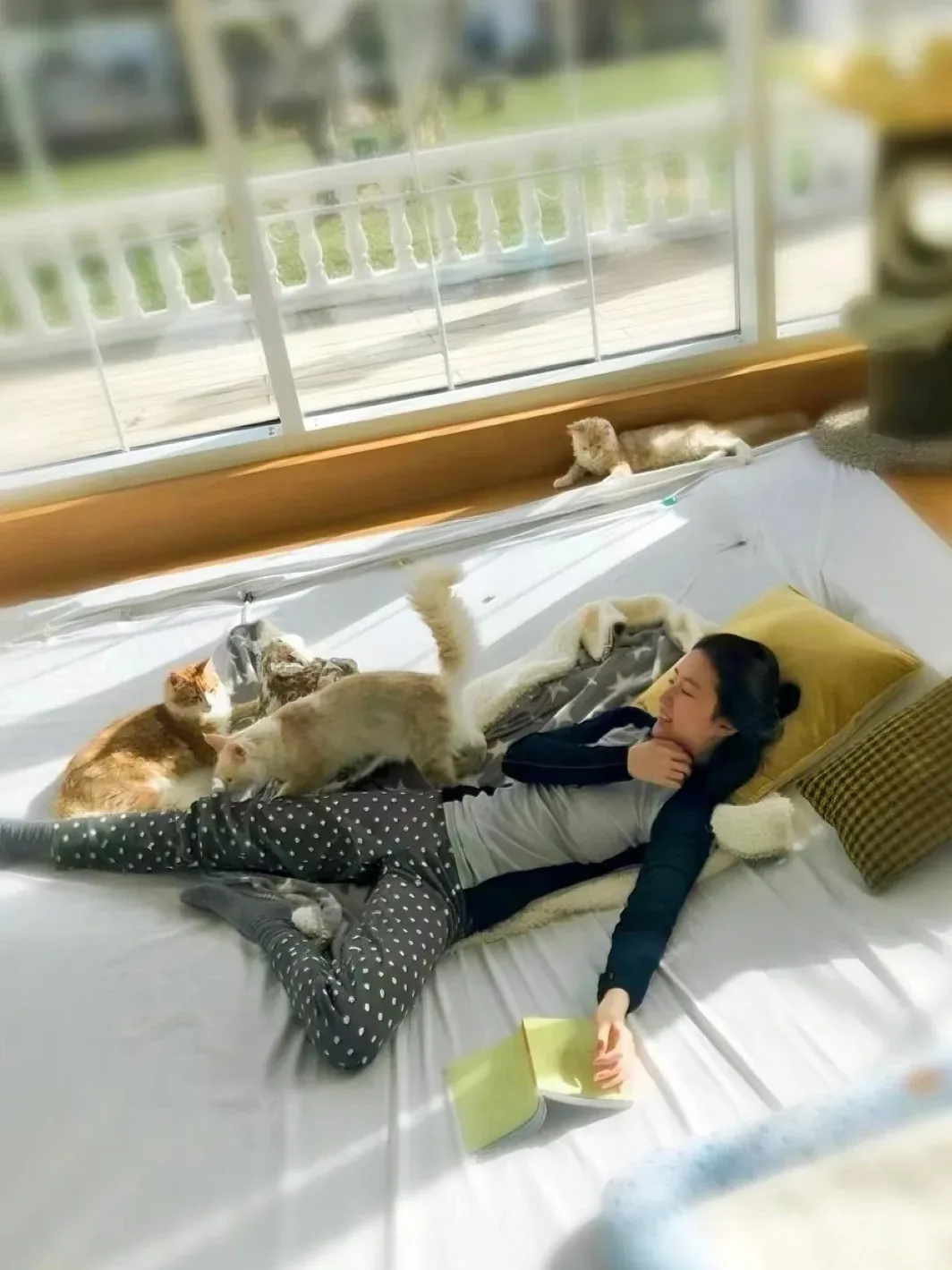 电影隐私生活在线观看_刘亦菲私人账号_刘亦菲的个人生活与隐私