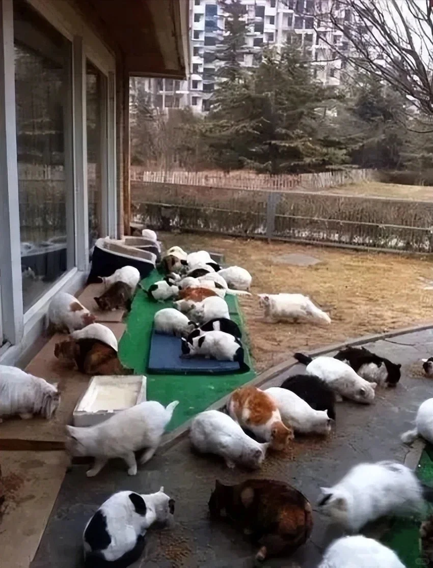 电影隐私生活在线观看_刘亦菲的个人生活与隐私_刘亦菲私人账号