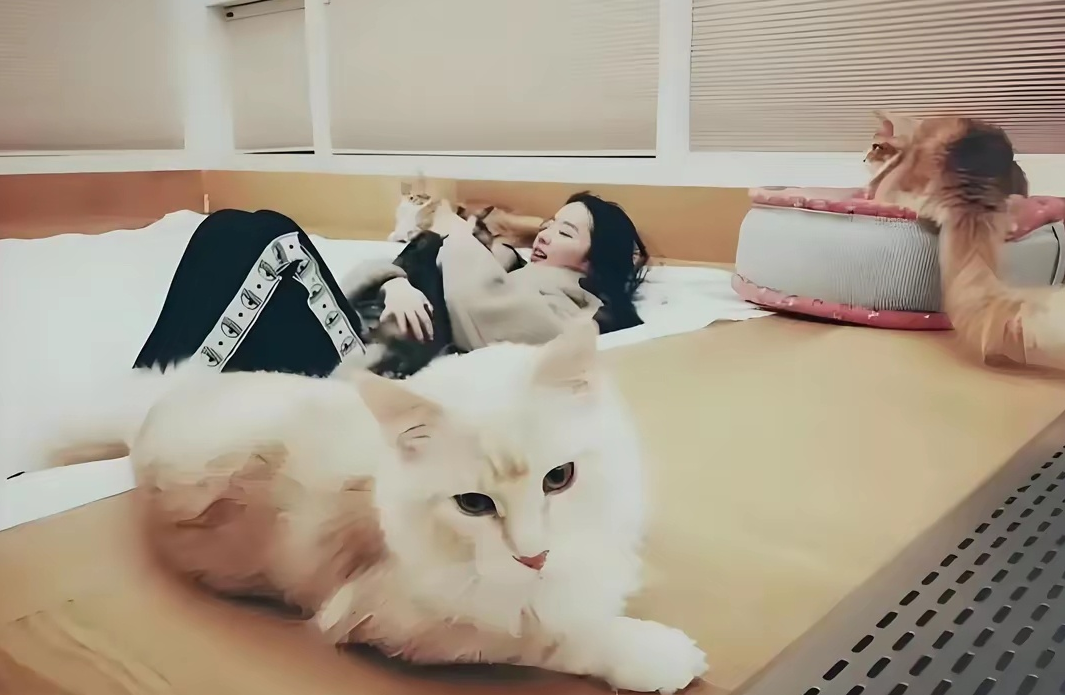 刘亦菲私人账号_电影隐私生活在线观看_刘亦菲的个人生活与隐私