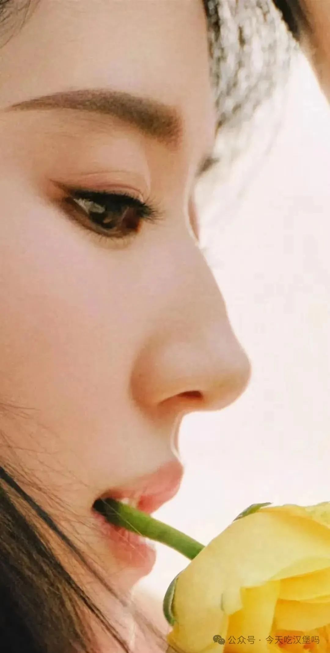 英国隐私生活bd电影_新鲜生活隐私_刘亦菲的个人生活与隐私