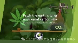 资产优化中的USDT全球策略_资产优化配置_优化资产布局