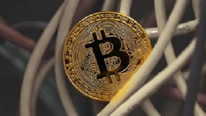 货币数字投资_投机货币数字行为市场调研报告_数字货币市场的投机行为