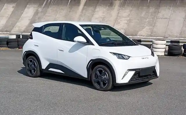 比亚迪自身发展优势_比亚迪海鸥的市场优势与挑战_挑战锐界比亚迪唐