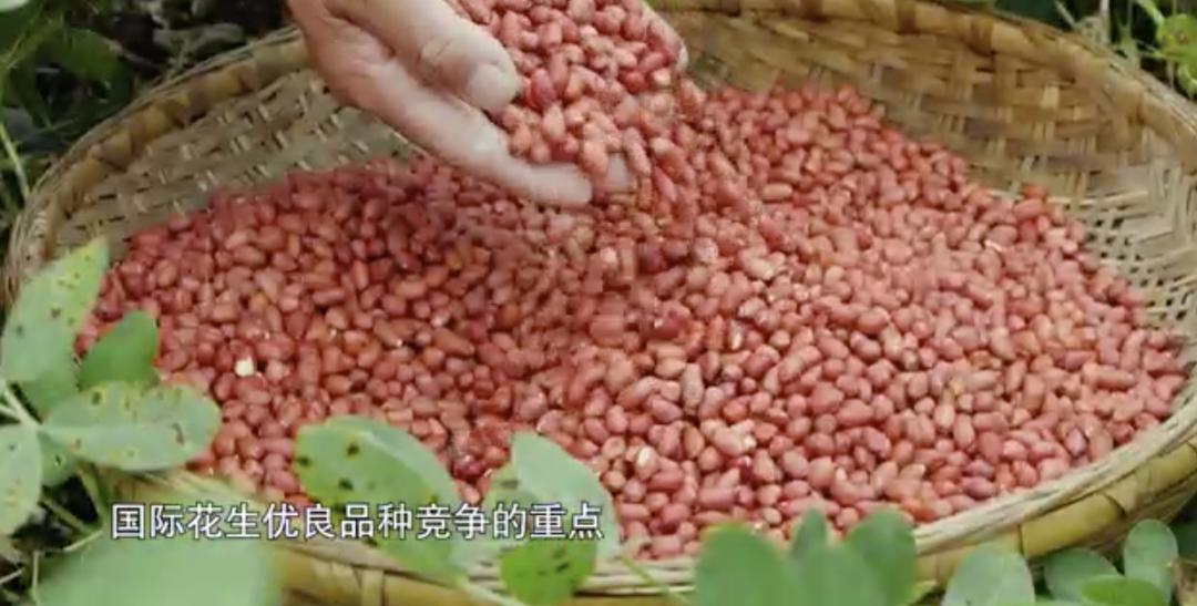 品牌故事：华为手机的品质提升之路_华为之路任重道远_华为成长之路