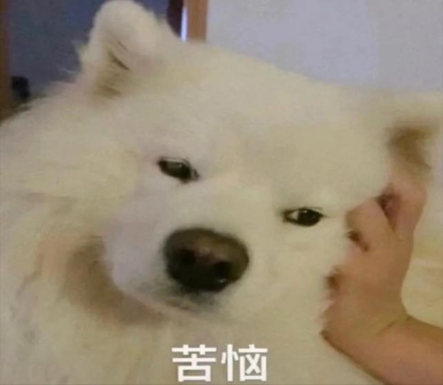 每一个角落都智慧：全屋智能化的享受_智能的屋子_智能屋科技有限公司