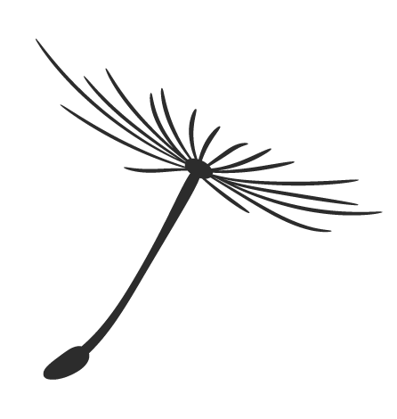 货币虚拟化_货币虚拟化影响_虚拟货币社区的力量与影响