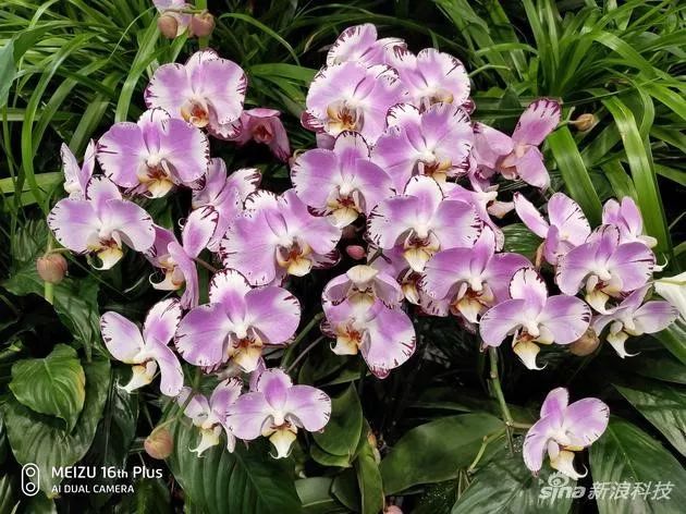 魅族m688m手机是魅族几_如何用魅族手机提升旅行体验？_魅族旅行包