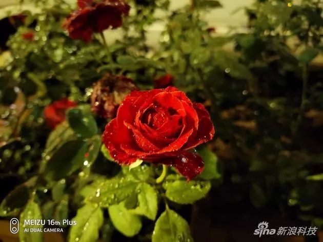 如何用魅族手机提升旅行体验？_魅族m688m手机是魅族几_魅族旅行包