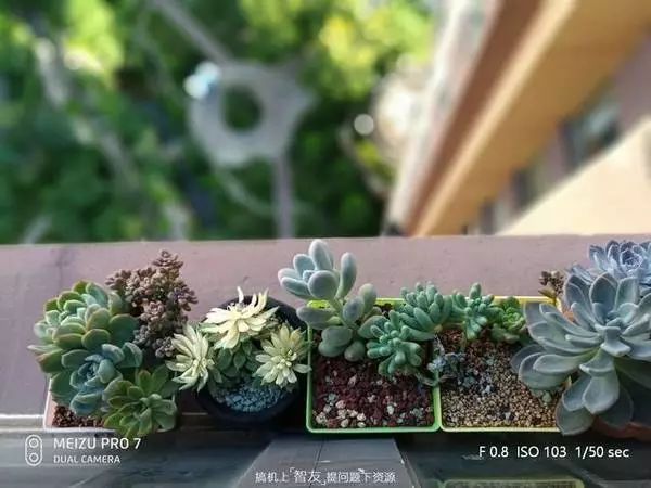 如何用魅族手机提升旅行体验？_魅族用yunos的手机_用骁龙625的魅族手机