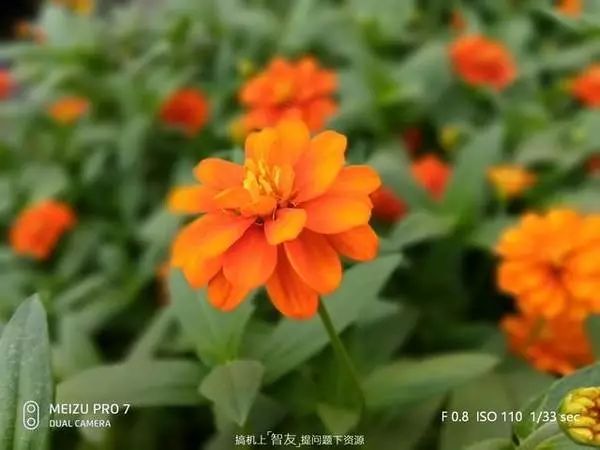 魅族用yunos的手机_用骁龙625的魅族手机_如何用魅族手机提升旅行体验？