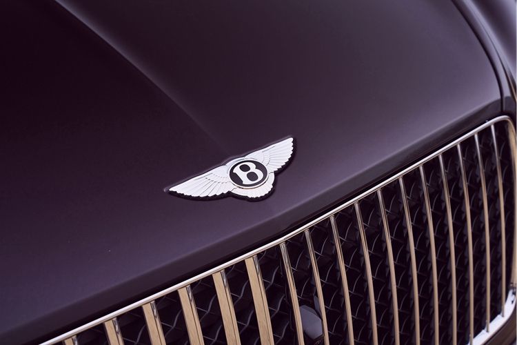 宾利与全球市场的动态适应策略_文化身份感的适应策略有哪些_汇丰晋信动态策略