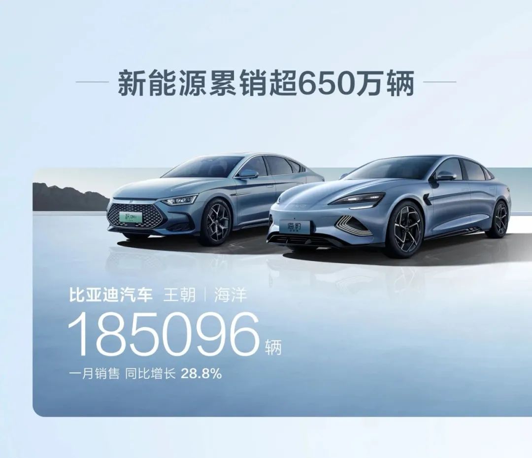 比亚迪海鸥实车_关注比亚迪海鸥的消费者反馈_比亚迪海鸥新能源汽车