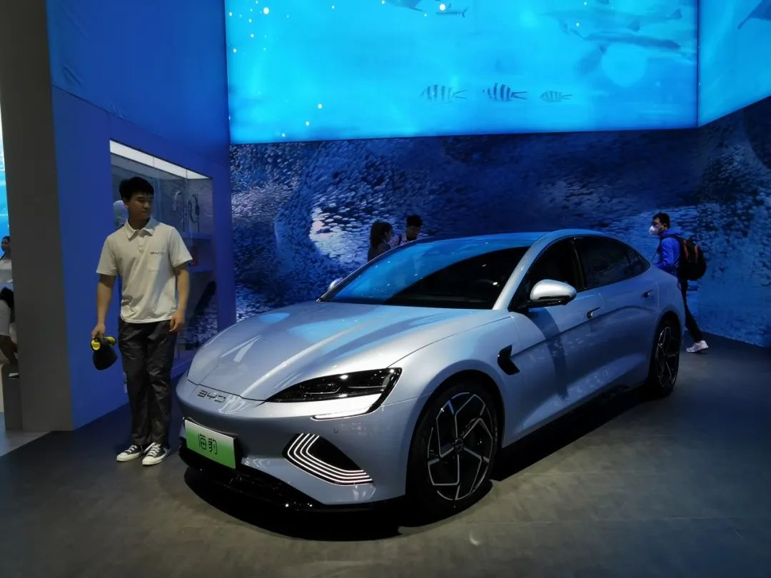 比亚迪海鸥新能源汽车_比亚迪海鸥实车_关注比亚迪海鸥的消费者反馈