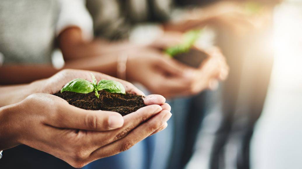 探索式发展_行动探索怎么写_OPPO在可持续发展领域的行动与探索