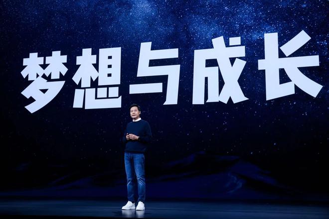 雷军的企业战略与长期愿景_雷军企业管理战略_雷军企业经营管理理念