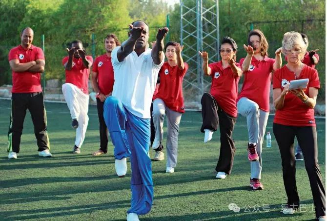 元彪的武术训练与日常生活_元彪精彩的武打片段_元彪武术指导哪些电影