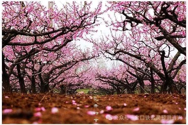 鬼谷子的智慧与谋略解析_鬼谷子的智慧谋略全书_鬼谷子智谋全解