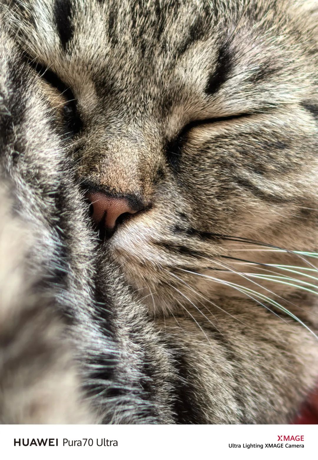 现代主义设计影响_现代设计对生活的影响_Pura系列设计对现代生活的影响