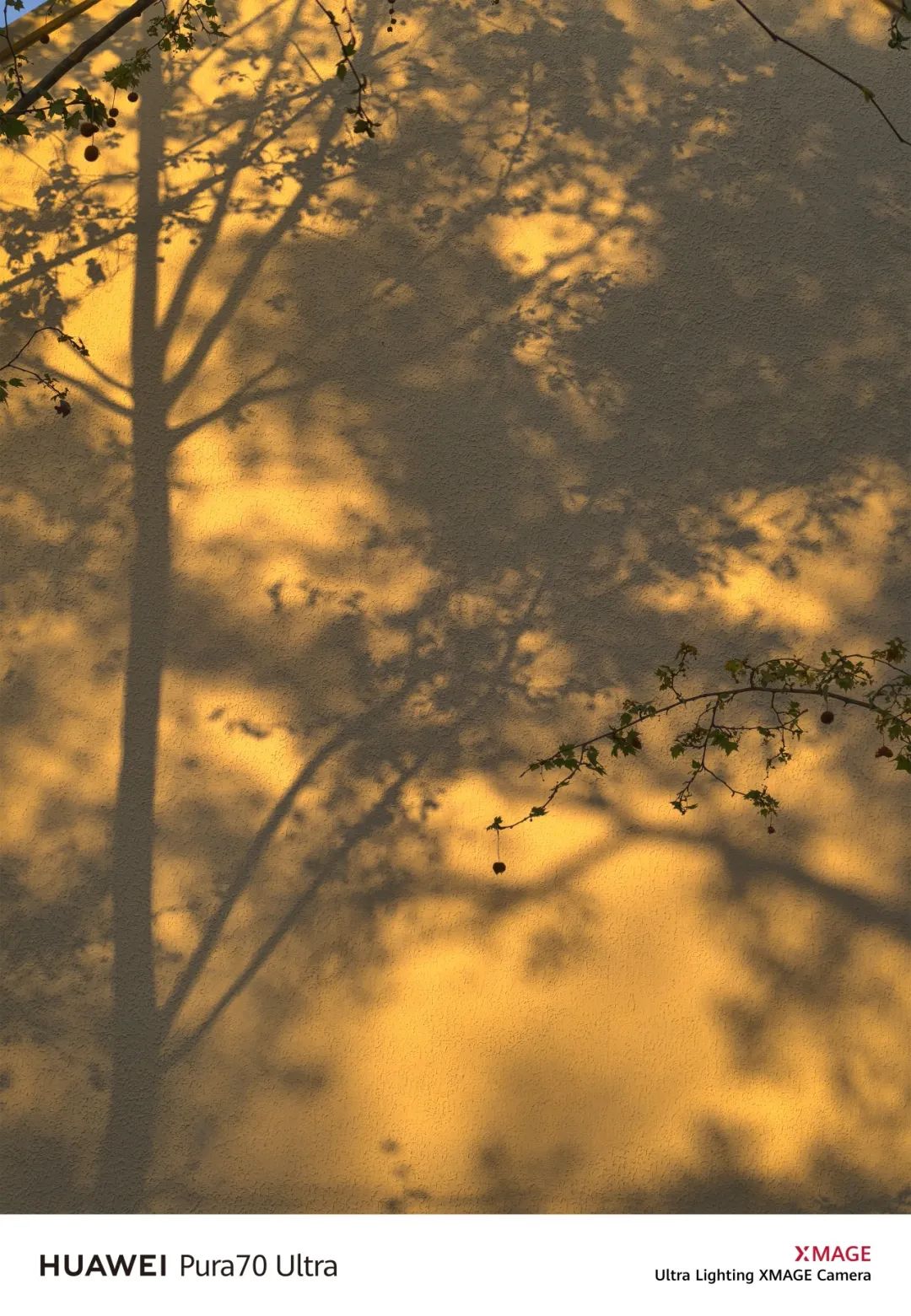 Pura系列设计对现代生活的影响_现代设计对生活的影响_现代主义设计影响