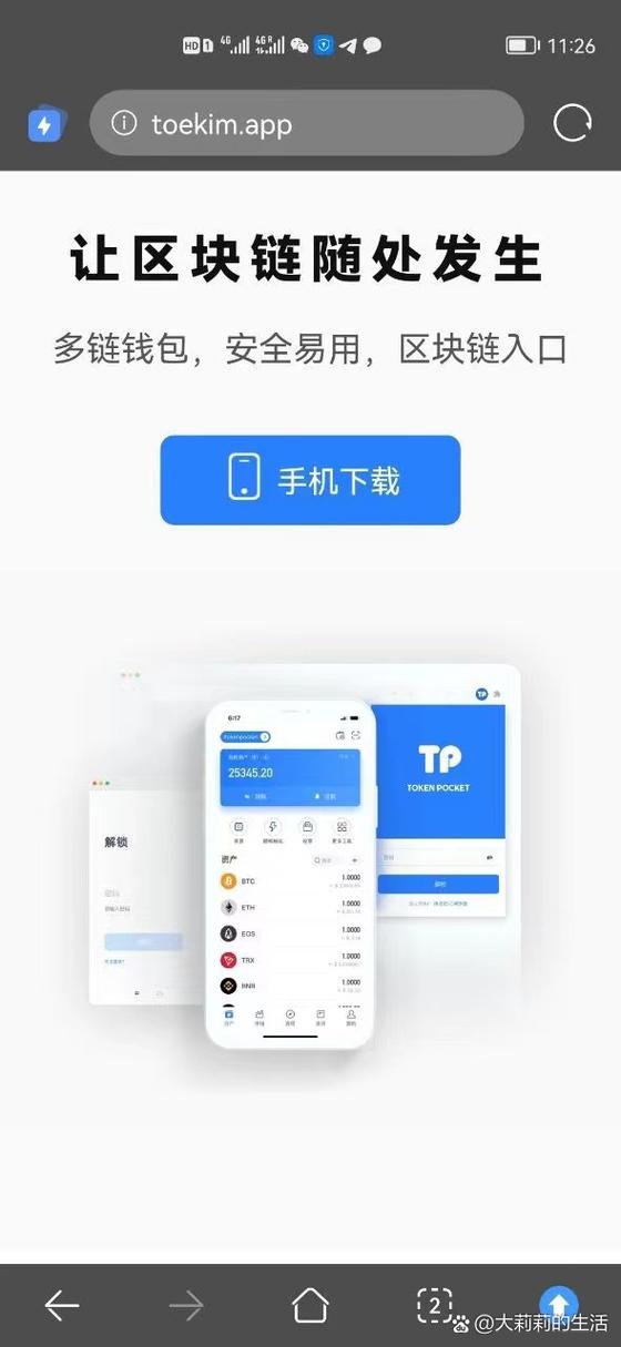 钱包项目有哪些比较出名_安全投资的必备工具：tp钱包最新版本功能及使用场景_钱包市场