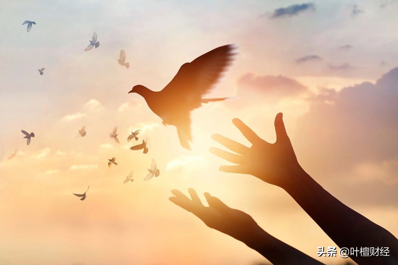 性能与价格的胜利：小米手机故事_性能与价格的胜利：小米手机故事_性能与价格的胜利：小米手机故事