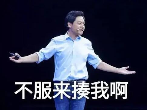 性能与价格的胜利：小米手机故事_性能与价格的胜利：小米手机故事_性能与价格的胜利：小米手机故事