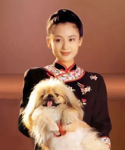 西施与她的悲情命运_西施悲剧_西施悲惨