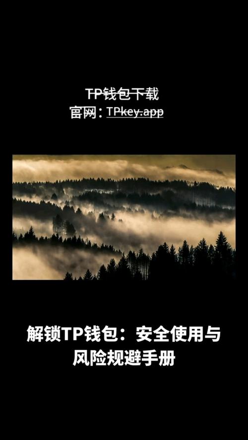 保障资产安全：在下载tp最新版应用时需要遵循的准则。_准则解读_准则依据