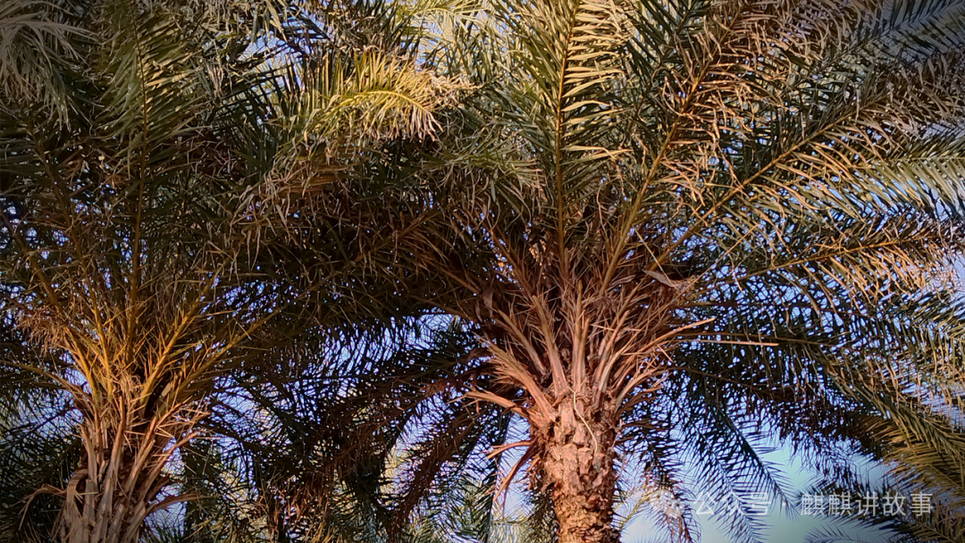 高科技智能产品，让生活更加便捷_让生活便利的科技产品_科技便利生活